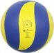 М'яч волейбольний Gala Mistral BV5661S BV5661S фото 2