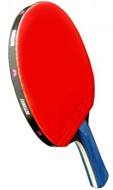 Ракетка для настольного тенниса Butterfly Timo Boll Gold 4001078850210