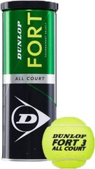 М'ячі для тенісу Dunlop Fort TS 3B метал банка X00000027681