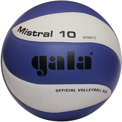 Мяч волейбольный Gala Mistral BV5661S BV5661S