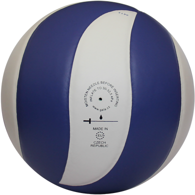 М'яч волейбольний Gala Mistral BV5661S BV5661S