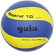 Мяч волейбольный Gala Mistral BV5661S BV5661S фото 1
