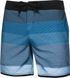 Плавки-шорти для чоловіків Aqua Speed ​​NOLAN 7550 синій, блакитний Чол 46-48 (L) 00000020210 фото 1