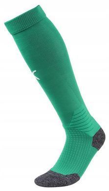 Гетри Puma Team LIGA Socks зелений Уні 703438-05