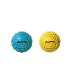 Набір м'ячиків для масажу LivePro MASSAGE BALL LP8507