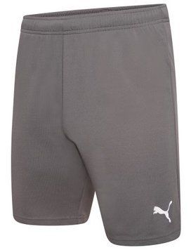 Шорты Puma teamRISE Short серый XXL 704942-13