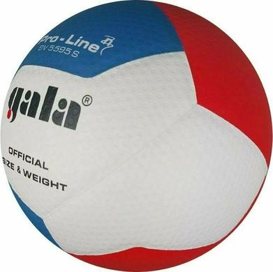 М'яч волейбольний Gala Pro-Line 12 FIVB BV5595S BV5595S