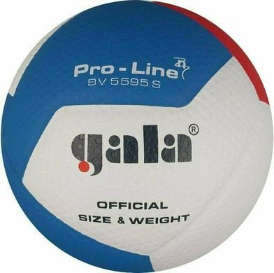 Мяч волейбольный Gala Pro-Line 12 FIVB BV5595S BV5595S