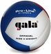 М'яч волейбольний Gala Pro-Line 12 FIVB BV5595S BV5595S фото 1