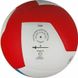 М'яч волейбольний Gala Pro-Line 12 FIVB BV5595S BV5595S фото 3