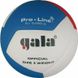 М'яч волейбольний Gala Pro-Line 12 FIVB BV5595S BV5595S фото 2