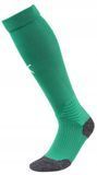 Гетри Puma Team LIGA Socks зелений Уні 703438-05