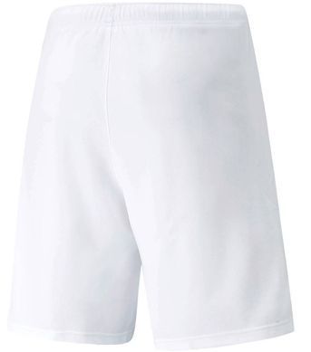 Шорти Puma teamRISE Short білий Чол XXL 704942-03