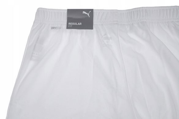 Шорти Puma teamRISE Short білий Чол XXL 704942-03