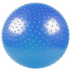 Масажний фітбол LiveUp MASSAGE BALL LS3224-65