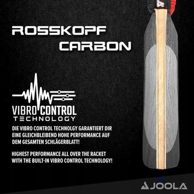 Ракетка для настільного тенісу Joola Rosskopf Carbon + чохол + 3 м'ячика rakjol20