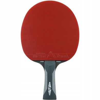 Ракетка для настільного тенісу Joola Rosskopf Carbon + чохол + 3 м'ячика rakjol20