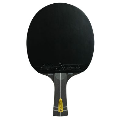 Ракетка для настільного тенісу Joola Infinity Carbon  rakjol21
