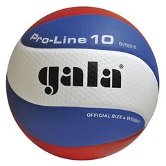Мяч волейбольный Gala Pro-Line 10 BV5581S