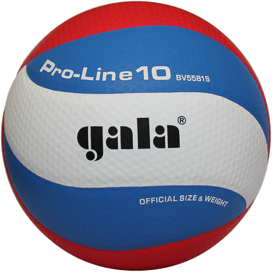 М'яч волейбольний Gala Pro-Line 10 BV5581S BV5581S