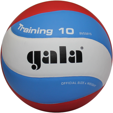 Мяч волейбольный Gala Training 10 BV5567S BV5567S