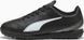 Детские футзалки Puma VITORIA II TT Jr черный 31 (12UK) 18,5 см 00000039711 фото 1