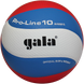 Мяч волейбольный Gala Pro-Line 10 BV5821S BV5581S фото 1