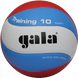 М'яч волейбольний Gala Training 10 BV5567S BV5567S фото 1