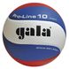 М'яч волейбольний Gala Pro-Line 10 BV5581S BV5581S фото 3