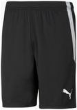 Спортивные шорты Puma teamLIGA Shorts черный Муж S 704924-03