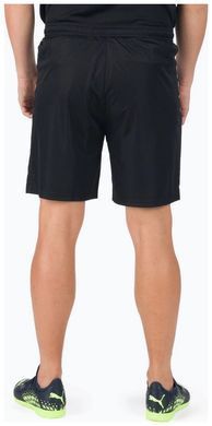 Спортивные шорты Puma teamLIGA Shorts черный Муж S 704924-03
