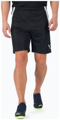 Спортивные шорты Puma teamLIGA Shorts черный Муж S 704924-03