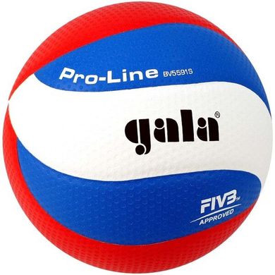 Мяч волейбольный Gala Pro-Line FIVB BV5591S BV5591S