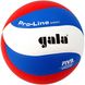 Мяч волейбольный Gala Pro-Line BV5591S BV5591S фото 2