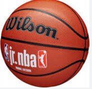 М'яч баскетбольний Wilson JR NBA FAM LOGO INDOOR OUTDOOR size 5 WZ2009801XB5