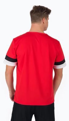 Футболка Puma teamRISE Jersey червоний Чол XXL 704932-01