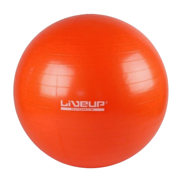 Фитбол LiveUp GYM BALL (LS3221-55o) LS3221-55o