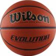Баскетбольные мячи WILSON