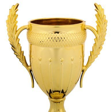 Кубок спортивный наградный SP-Sport Energy 899F высота 15см, золотой 899F