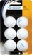 М'ячі для настільного тенісу Donic-Schildkrot Jade ball (blister card) (6) 618371S фото 2