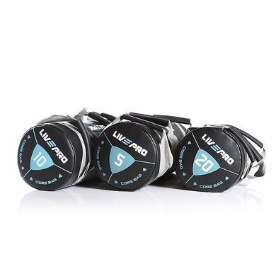 Мешок для кроссфита LivePro POWER BAG (LP8120-10) LP8120-10