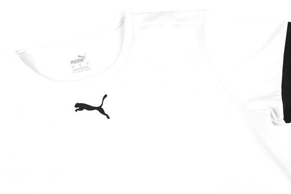 Футболка Puma teamRISE Jersey Jr білий Діт  704938-04