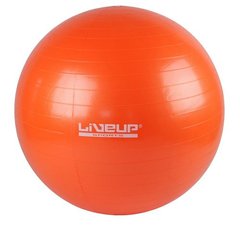 Фітбол GYM BALL помаранчевий Уні 55см 00000018819