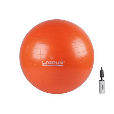 Фитбол (насос в комплекте) LiveUp ANTI-BURST BALL LS3222-65o