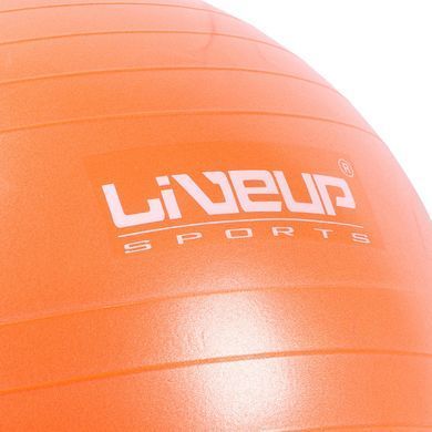 Фитбол (насос в комплекте) LiveUp ANTI-BURST BALL LS3222-65o