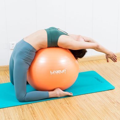 Фитбол (насос в комплекте) LiveUp ANTI-BURST BALL LS3222-65o