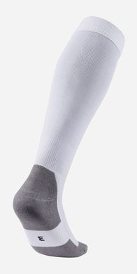 Гетри Puma Team LIGA Socks CORE білий Уні 43-46 703441-04