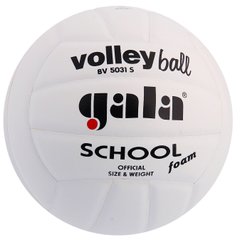 М'яч волейбольний Gala School Foam BV5031S