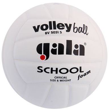 Мяч волейбольный Gala School Foam BV5031S BV5031S