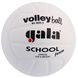 Мяч волейбольный Gala School Foam BV5031S BV5031S фото 1